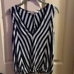 Navy and white striped max